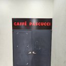 제주늘봄재활병원 | 내 돈 내산 파스쿠찌 신메뉴 추천 - 월넛라떼샷 후기 (토피넛라떼와 맛 비교. 제주한라대점, N 번째 방문)