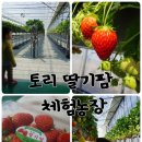 토리딸기팜