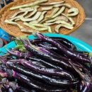 미락농장 이미지