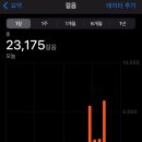 나룻1길 | 231027-1029, 안동에 가면