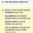 삼성우체국 | [무료태아보험]우체국/우리은행&amp;삼성화재 가입 후기