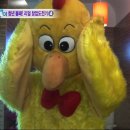 강정불패 이미지