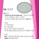 바이오세탁소 이미지