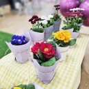 지혜네 세탁소 이미지