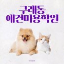 제로100 PC 구래동점 | 구래동애견미용학원 고등학생 상담 후기!