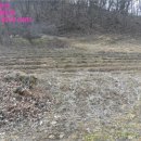 월촌보건진료소 이미지