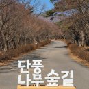 동남(독립)-22-02 이미지