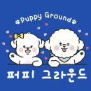퍼피 그라운드 이미지
