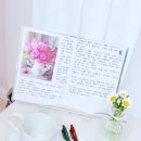 궁창의별 | 🥇 "내돈내산 bateau fluir 펜 | 손끝이 달랐어요 🌿 성경필사 시편19편 - 19일차 하늘이 하나님을 선포하네"