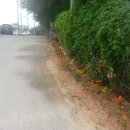 규암면사무소 이미지