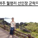 선인장을 부탁해 이미지