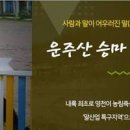 [경상북도 여행지]영천 , 구미, 상주 승마장에서 승마배우기 이미지