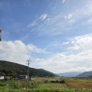 계림로(동) | 경주가볼만한곳｜국립경주박물관 관람 후기 (1일차 경주여행코스)