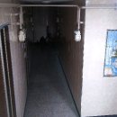 군산중앙초등학교 이미지