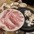 [일상] 190215~ 190219