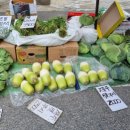 진해중앙고삼거리 이미지