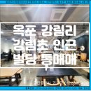 강림초등학교~달성군농업기술센터 | 대구빌딩매매전문(상가건물) 부동산/ 대구 달성군 옥포읍 강림리 대단지 아파트,4차선 도로접한 상가...