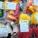 다담애친환경영농조합법인 | 6시 내고향 진주 애호박, 튀김·가락국수·초밥 케이크까지 변신은 무죄 구매처 휘게농장 꾸러미