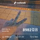 배민커넥트 추천인 cyan14 도보배달 부업 후기