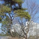 남양주 화도 황금사원, 조계종 동원정사 국빈방문!