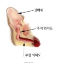 사직동물의료센터 이미지