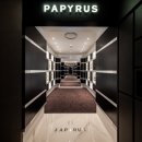 파피루스플러스(Papyrus+) 이미지