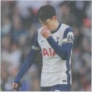 혜성스포츠 이미지