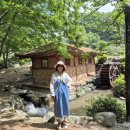 경상남도 함양의 천년의 숲&lt;함양 상림공원&gt;
