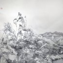 루밍주