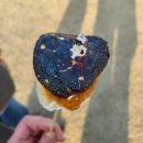 충남 부여 한옥카페 높은댕이
