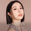 인천 레이셀 컬러렌즈 신제품 안내! 루미너스그레이, 스팟라이트브라운