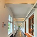 성암미술관 | 충북 핑크뮬리 명소 폐교를 리모델링한 카페, 일상화카페 후기(청주 근교 대형카페, 메뉴, 주차 정보 등)