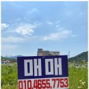 내집부동산중개 이미지