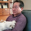 행복한 멍냥이 이미지