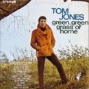 Tom Jones ---- Green Green Grass Of Home (1966) [ 한/영 가사 해석 ] 이미지