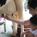 청계목장 이미지