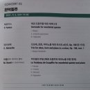 새로운 예술의 질주 이미지