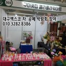 엑스코플라워 이미지