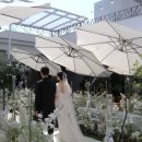 (합자)진주제일택시 | 2026년 3월 초봄, 웨딩메르디앙 아토아띠홀 야외홀 예식 후기 - 친구들 사진 원본