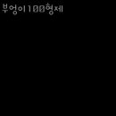 부엉이100형제