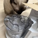 정수동물병원 | 반려동물 콧물 재채기 관리 케어넵 카스 고양이 네뷸라이저 사용방법과 후기 장단점!