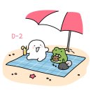 디데이스토어