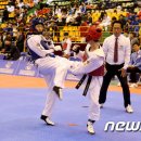 동해태권도체육관 이미지