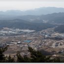 대미론 Daum카페