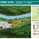 용하 이미지