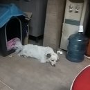 타이어프로 양촌점 이미지