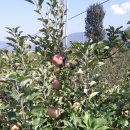 사암농장 이미지