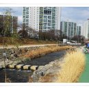 당현천주변 이미지