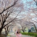 선진랜드 이미지