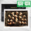 농업회사법인(주)이팜스 이미지